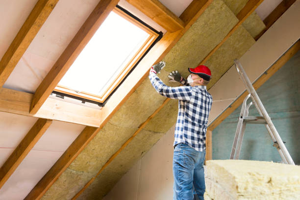 Trusted La Monte, MO Insulation Services Experts